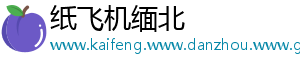 纸飞机缅北